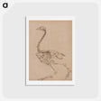 アートポストカード-Fowl Skeleton, Lateral View
 - ジョージ スタッブス Postcard.