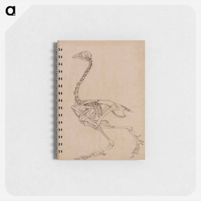 アートメモ帳-Fowl Skeleton, Lateral View
 - ジョージ スタッブス Memo.