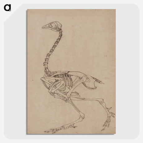 2-26_George-Stubbs_picture-crop