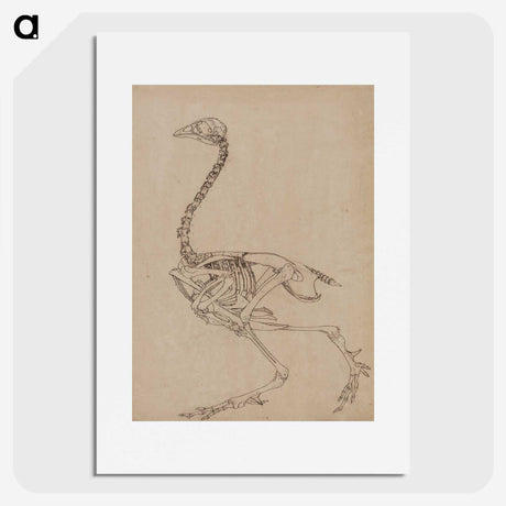 2-26_George-Stubbs_picture