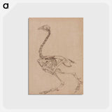 アートポストカード-Fowl Skeleton, Lateral View
 - ジョージ スタッブス Postcard.