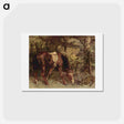 アートポストカード-Horse in the Woods - ギュスターヴ クールベ Postcard.