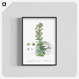 2-26_Histoire-des-Plantes-Grasses_blk-crop