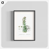 2-26_Histoire-des-Plantes-Grasses_blk