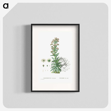 2-26_Histoire-des-Plantes-Grasses_blk