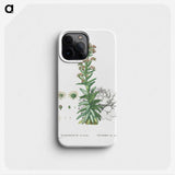2-26_Histoire-des-Plantes-Grasses_phone