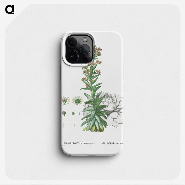 2-26_Histoire-des-Plantes-Grasses_phone