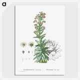 2-26_Histoire-des-Plantes-Grasses_picture-crop