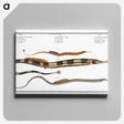 2-26_Ichtyologie-ou-Histoire-naturelle_canvas