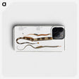 2-26_Ichtyologie-ou-Histoire-naturelle_phone