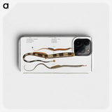 2-26_Ichtyologie-ou-Histoire-naturelle_phone
