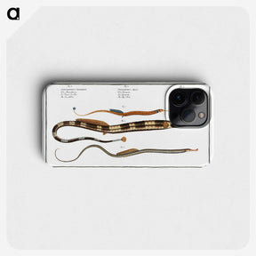 2-26_Ichtyologie-ou-Histoire-naturelle_phone