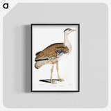 2-26_Indian-Zoology_blk-crop