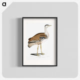 2-26_Indian-Zoology_blk