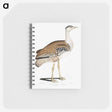 2-26_Indian-Zoology_memo