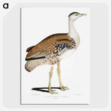 2-26_Indian-Zoology_picture-crop
