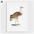 2-26_Indian-Zoology_picture