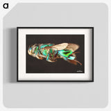 2-26_Insects-Unlocked-Project_blk