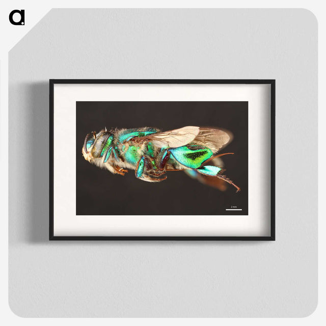 2-26_Insects-Unlocked-Project_blk