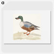 2-26_Johan-Teyler_picture
