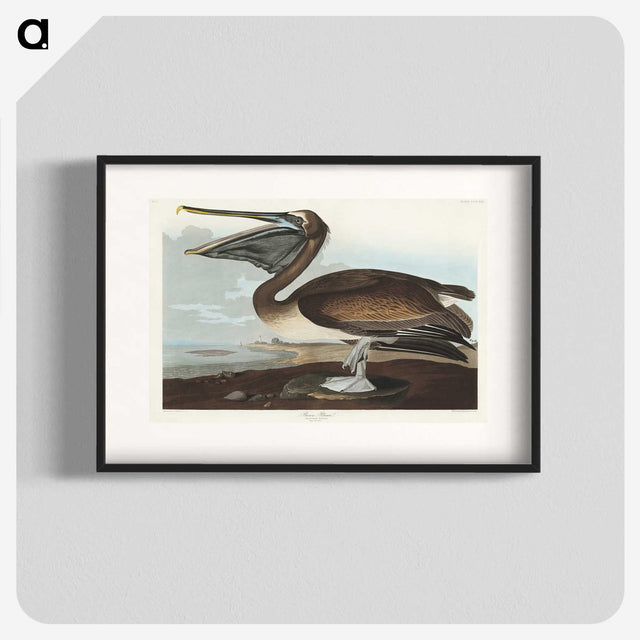 2-26_John-James-Audubon_blk