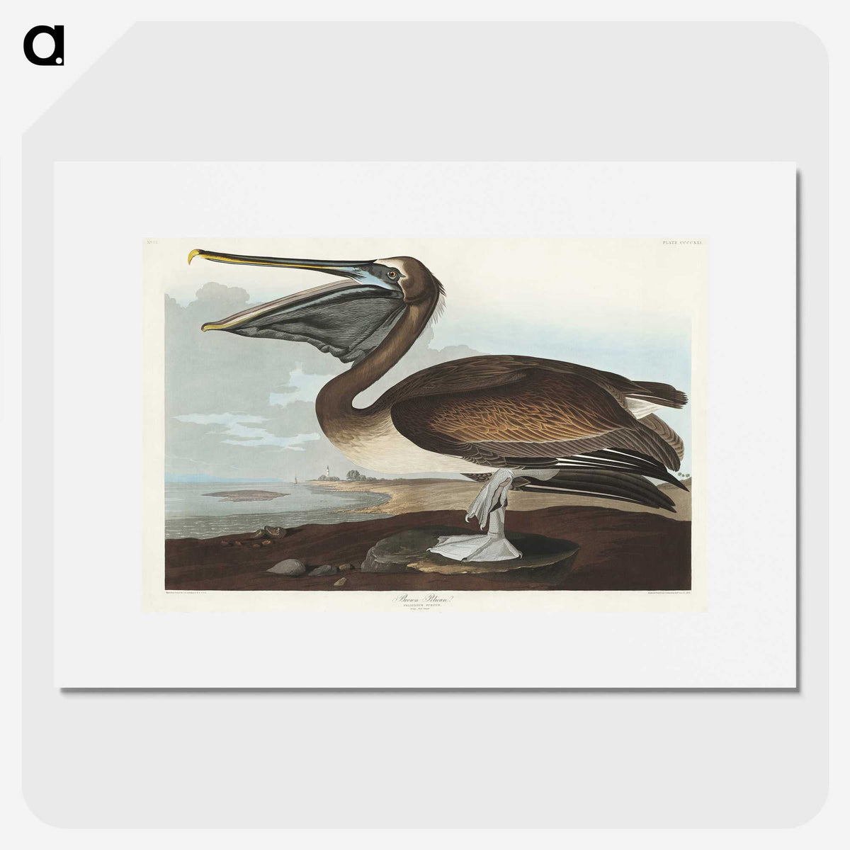 2-26_John-James-Audubon_picture