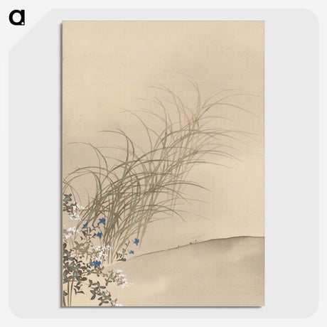2-26_Kamisaka-Sekka_picture-crop