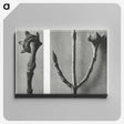 2-26_Karl-Blossfeldt_canvas