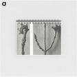 2-26_Karl-Blossfeldt_memo