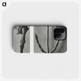 2-26_Karl-Blossfeldt_phone