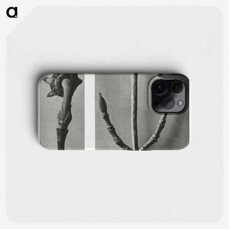 2-26_Karl-Blossfeldt_phone