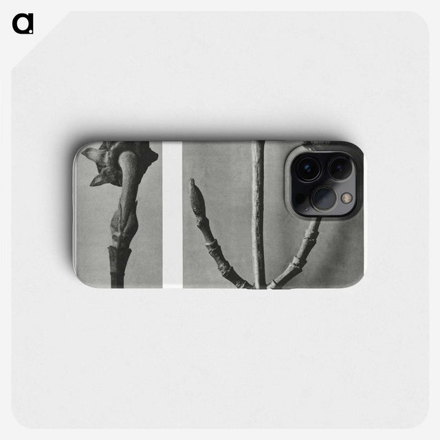 2-26_Karl-Blossfeldt_phone