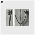 2-26_Karl-Blossfeldt_postcard