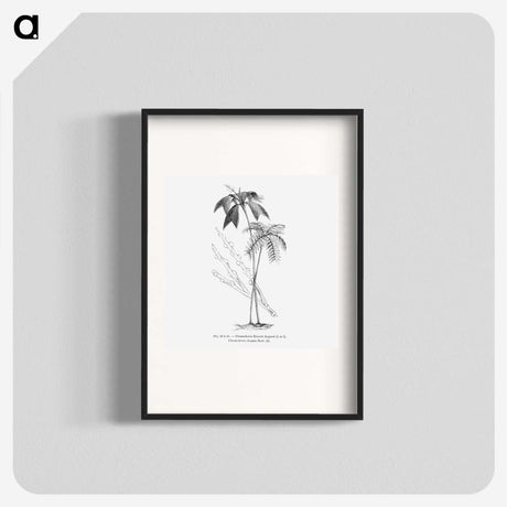 2-26_Les-Palmiers-Histoire-Iconographique_blk