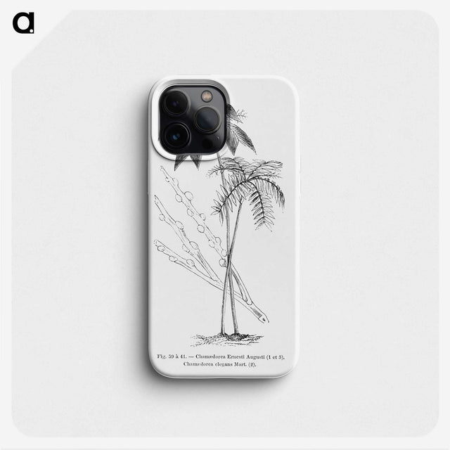 2-26_Les-Palmiers-Histoire-Iconographique_phone