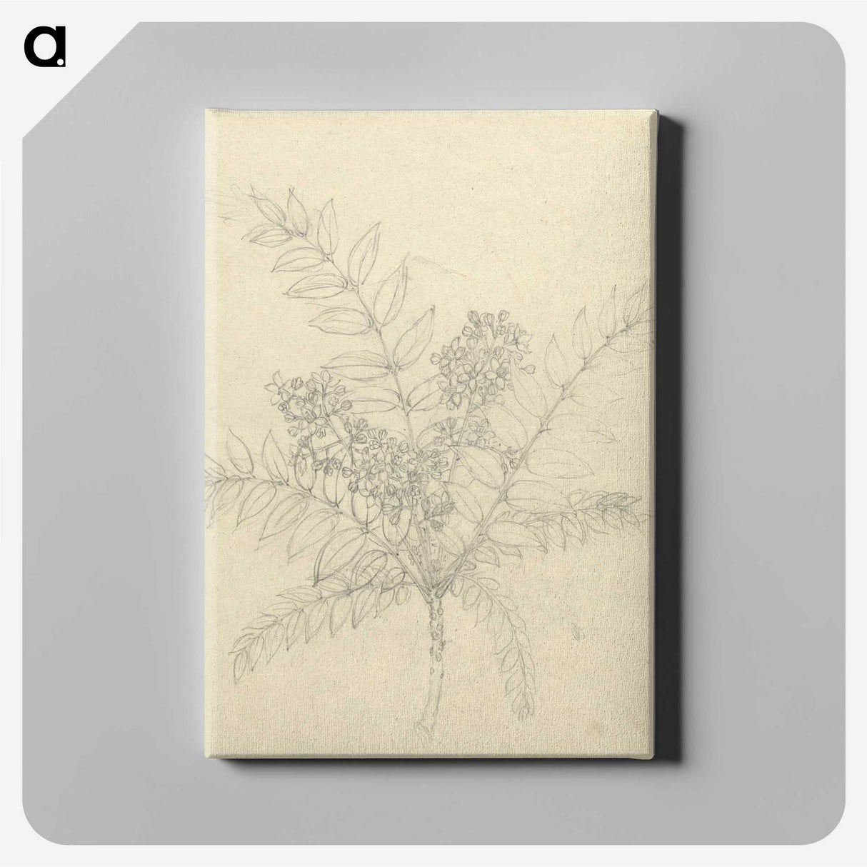 2-26_Luigi-Balugani_canvas