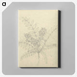 2-26_Luigi-Balugani_canvas