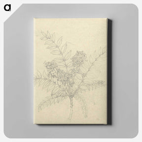 2-26_Luigi-Balugani_canvas