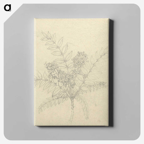 2-26_Luigi-Balugani_canvas