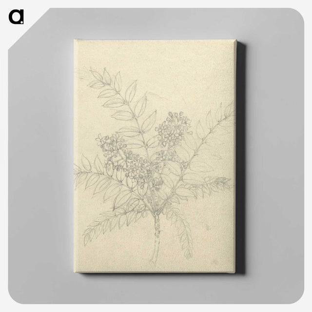 2-26_Luigi-Balugani_canvas