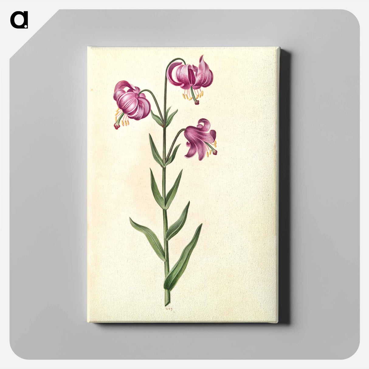 アートパネル-Lilium Martagon
 - マリア ジビーラ メーリアン Canvas.