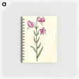 2-26_Maria-Sibylla-Merian_memo