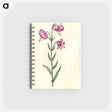 アートメモ帳-Lilium Martagon
 - マリア ジビーラ メーリアン Memo.