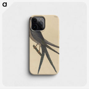 2-26_Mark-Catesby_phone