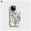 2-26_Mary-Vaux-Walcott_phone