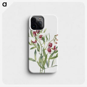 2-26_Mary-Vaux-Walcott_phone