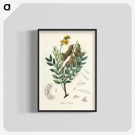 2-26_Medical-Botany_blk-crop