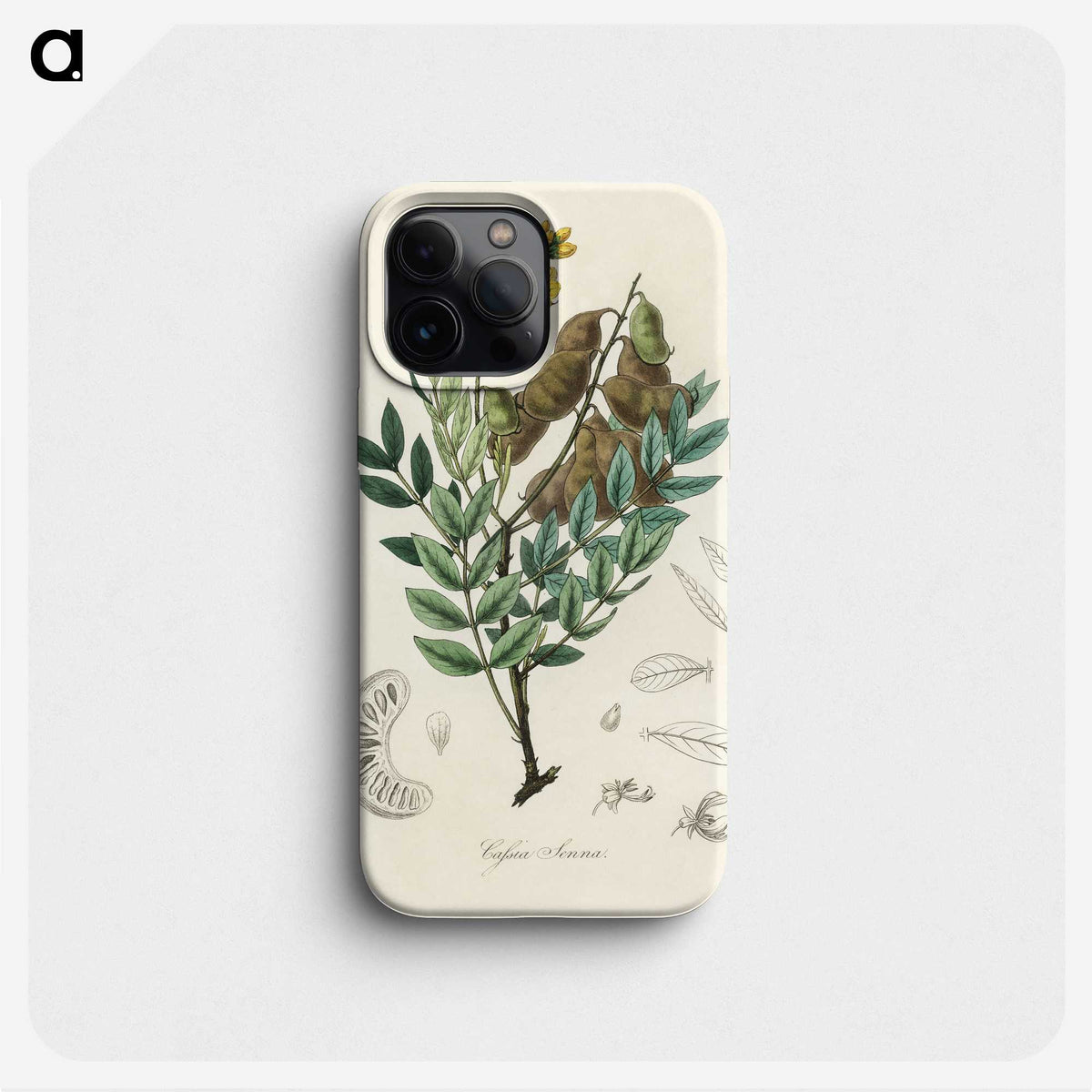2-26_Medical-Botany_phone