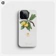 2-26_Pomona-Italiana_phone