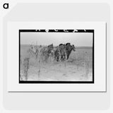 2-26_Russell-Lee_picture